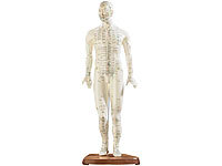85 cm Original Lehrmittel Anatomie Skelett auf Ständer Deko Skelett 