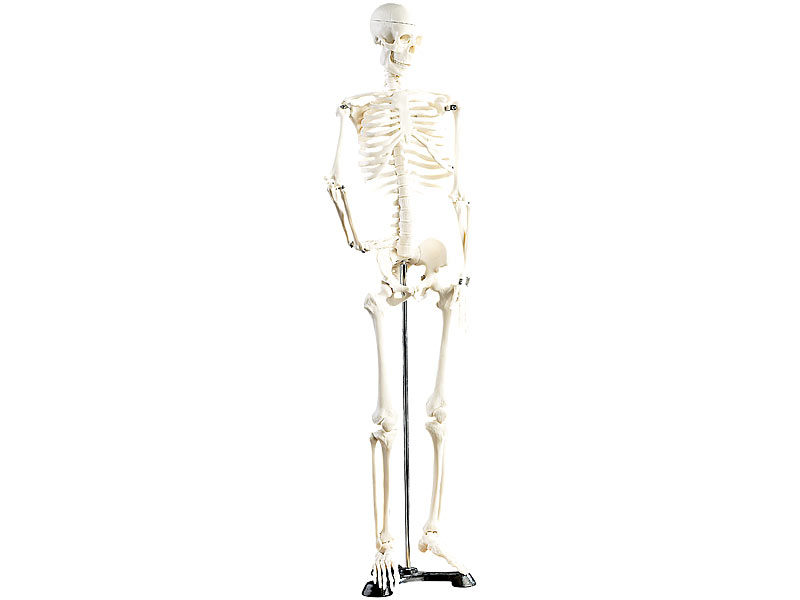 ; Akku-Massagepistolen Akku-Massagepistolen Akku-Massagepistolen 