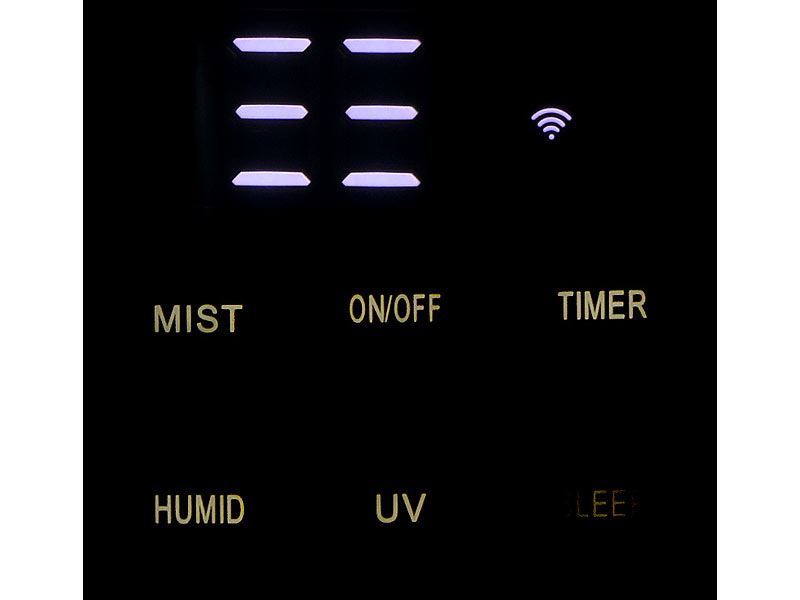 ; Luftreiniger mit Ionisator 